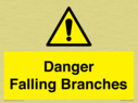 danger-falling-branches~